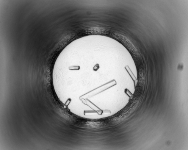 X0000103430457200810101046