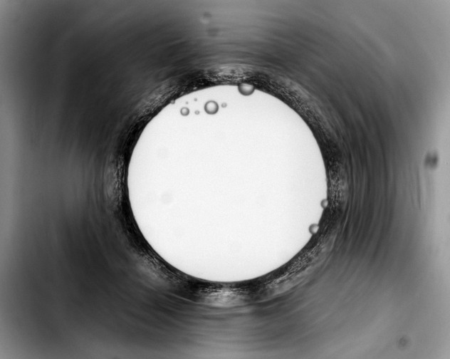 X0000103430460200810101046