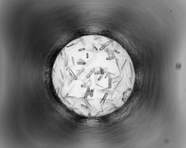 X0000103430462200810101046