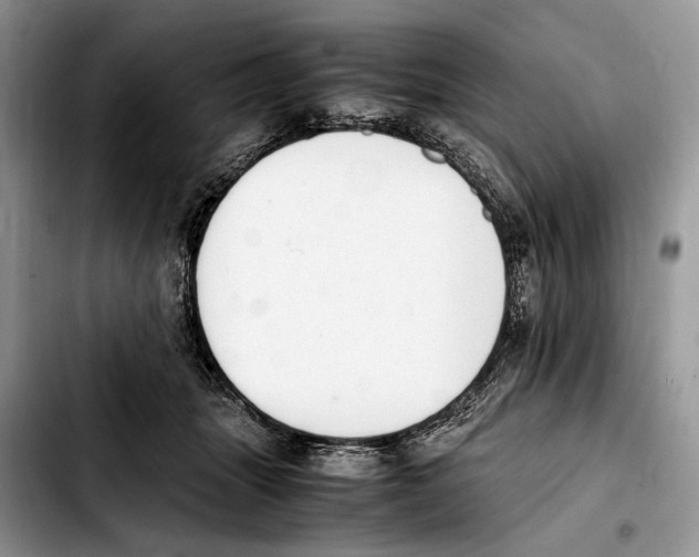 X0000103430463200810101046