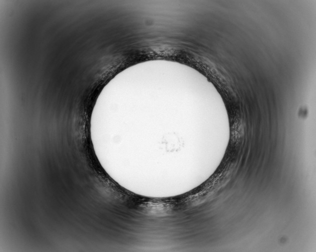 X0000103430464200810101046