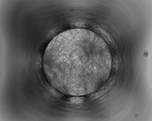 X0000103430465200810101046
