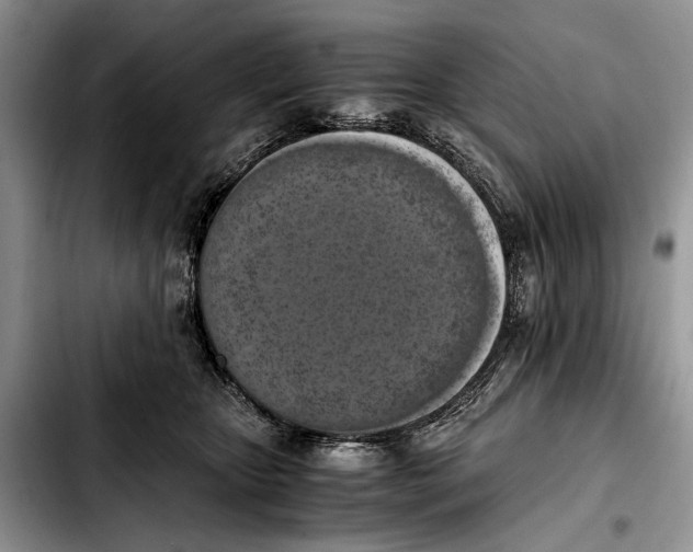 X0000103430467200810101046