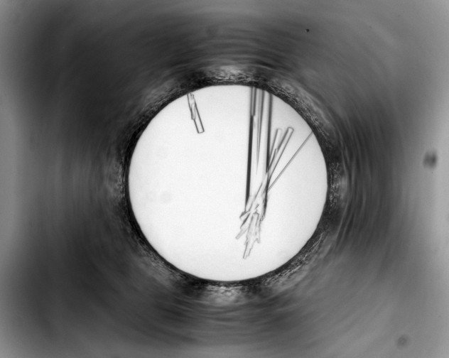 X0000103430469200810101046