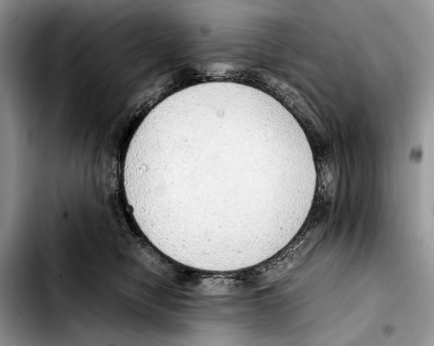 X0000103430470200810101046