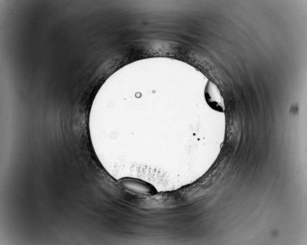 X0000103430473200810101046