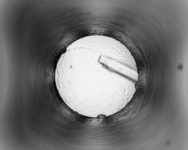 X0000103430474200810101046