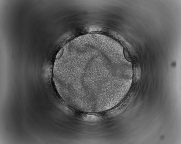 X0000103430475200810101046