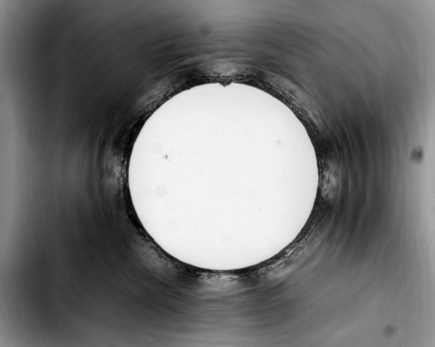 X0000103430476200810101046