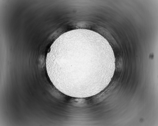 X0000103430478200810101046