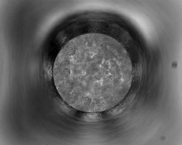 X0000103430479200810101046