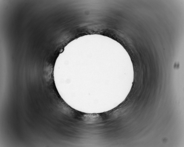 X0000103430480200810101046