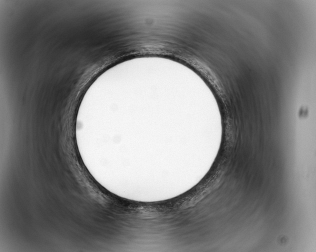 X0000103430481200810101046