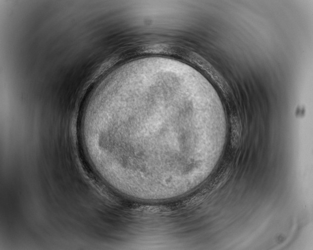 X0000103430482200810101046