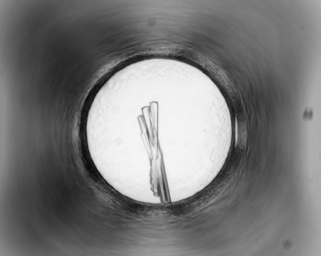 X0000103430483200810101046