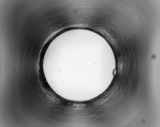 X0000103430484200810101046