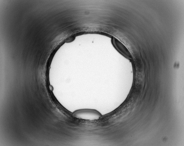 X0000103430485200810101046