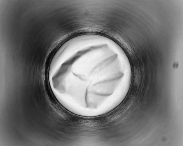 X0000103430486200810101046