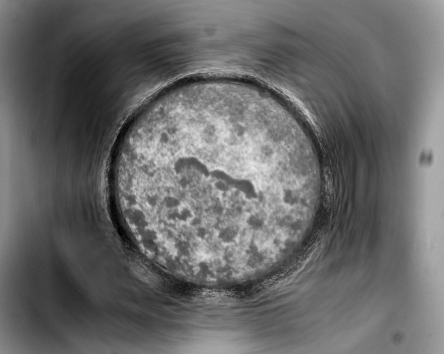 X0000103430487200810101046