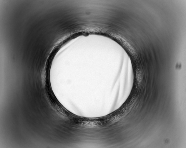 X0000103430488200810101046
