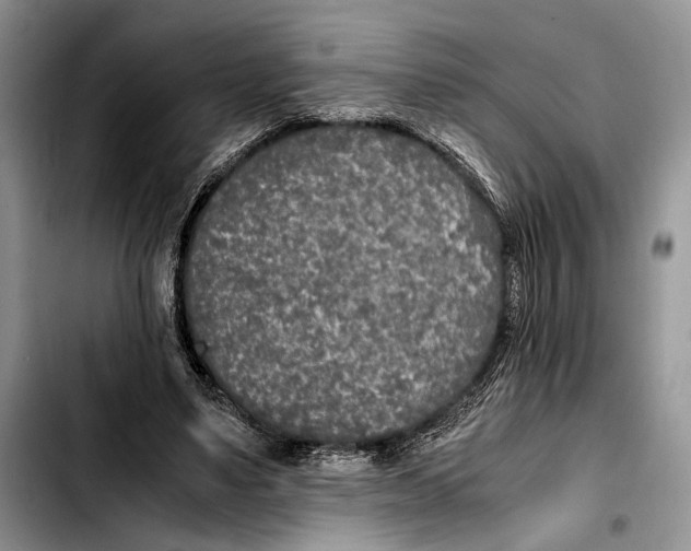 X0000103430491200810101046