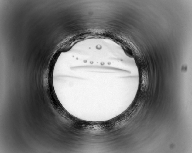 X0000103430492200810101046
