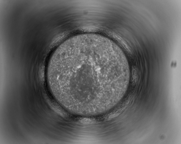 X0000103430494200810101046