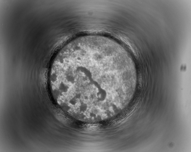 X0000103430495200810101046