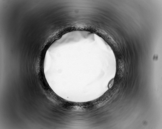 X0000103430496200810101045
