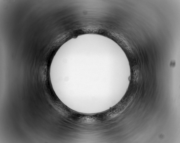 X0000103430498200810101045