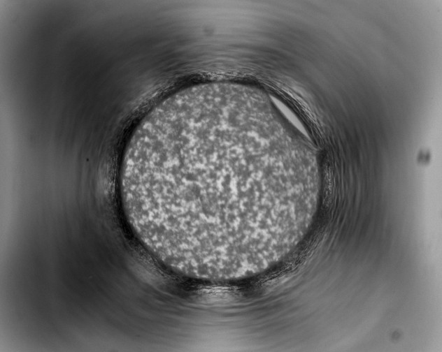 X0000103430499200810101045