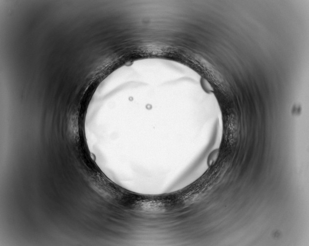 X0000103430500200810101045