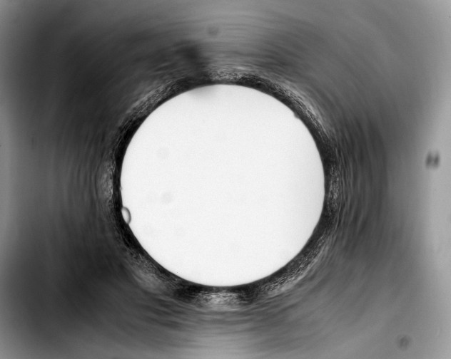 X0000103430501200810101045