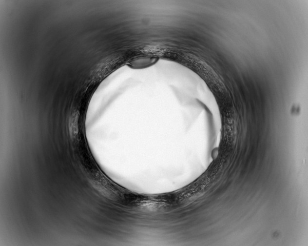 X0000103430504200810101045