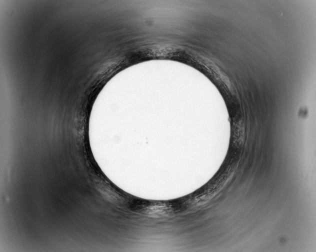 X0000103430505200810101045
