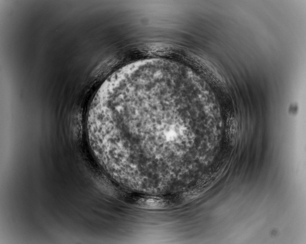 X0000103430506200810101045