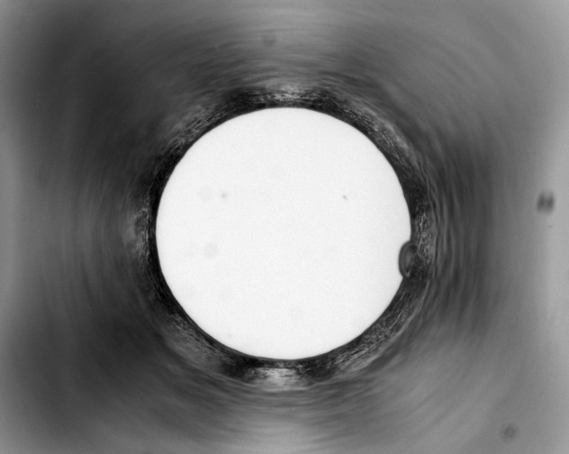 X0000103430509200810101045