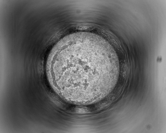 X0000103430510200810101045