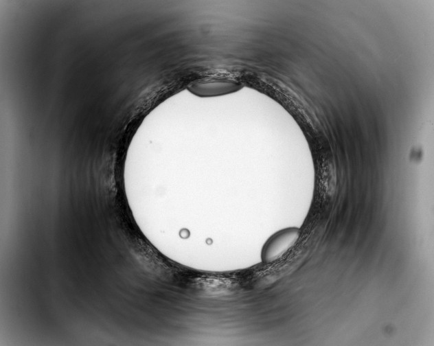 X0000103430512200810101045