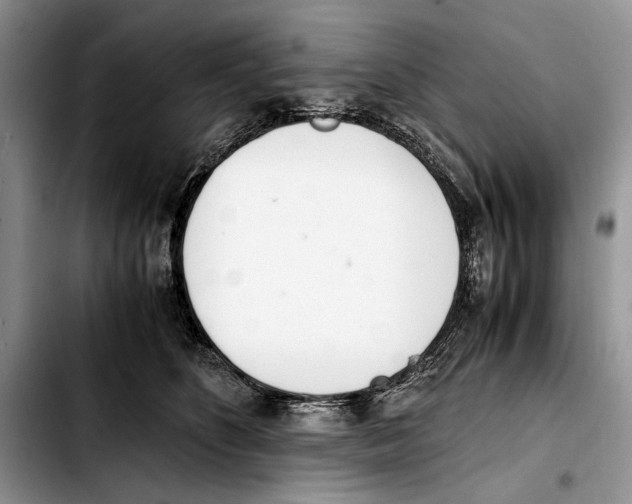 X0000103430516200810101045