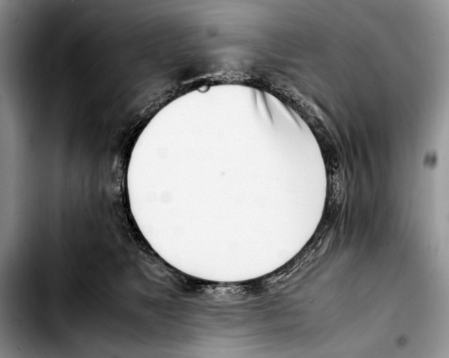 X0000103430517200810101045