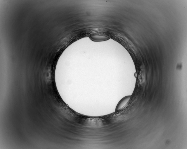 X0000103430520200810101045
