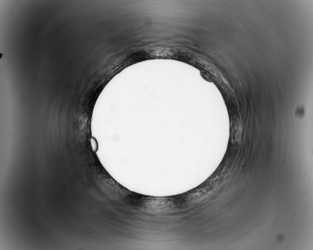 X0000103430521200810101045