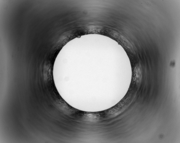 X0000103430522200810101045