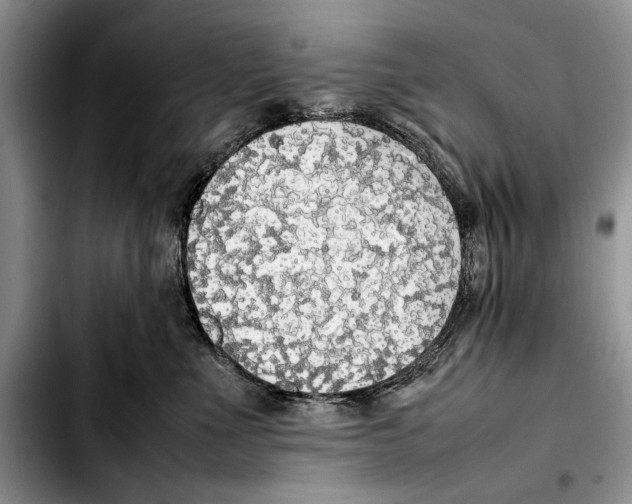 X0000103430523200810101045