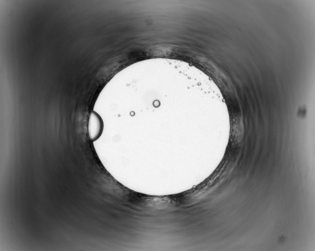 X0000103430525200810101045