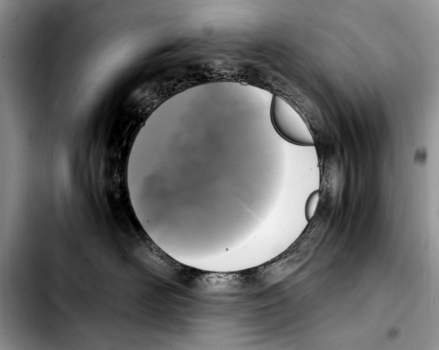 X0000103430526200810101045