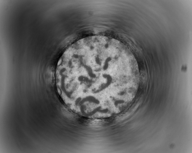 X0000103430527200810101045