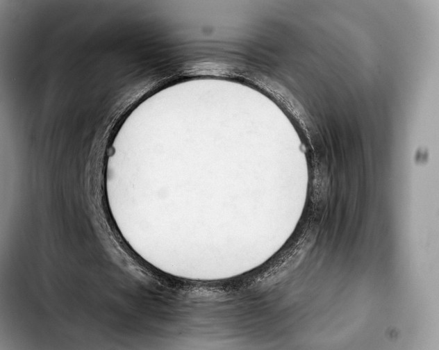 X0000103430529200810101044