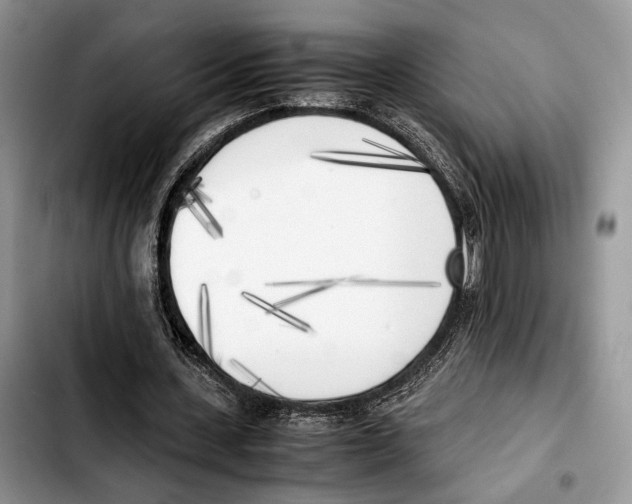 X0000103430531200810101044
